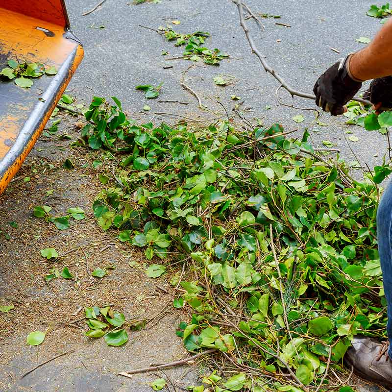 Brush Removal Villa Ridge, MO Poertner & Sons Tree Service, LLC